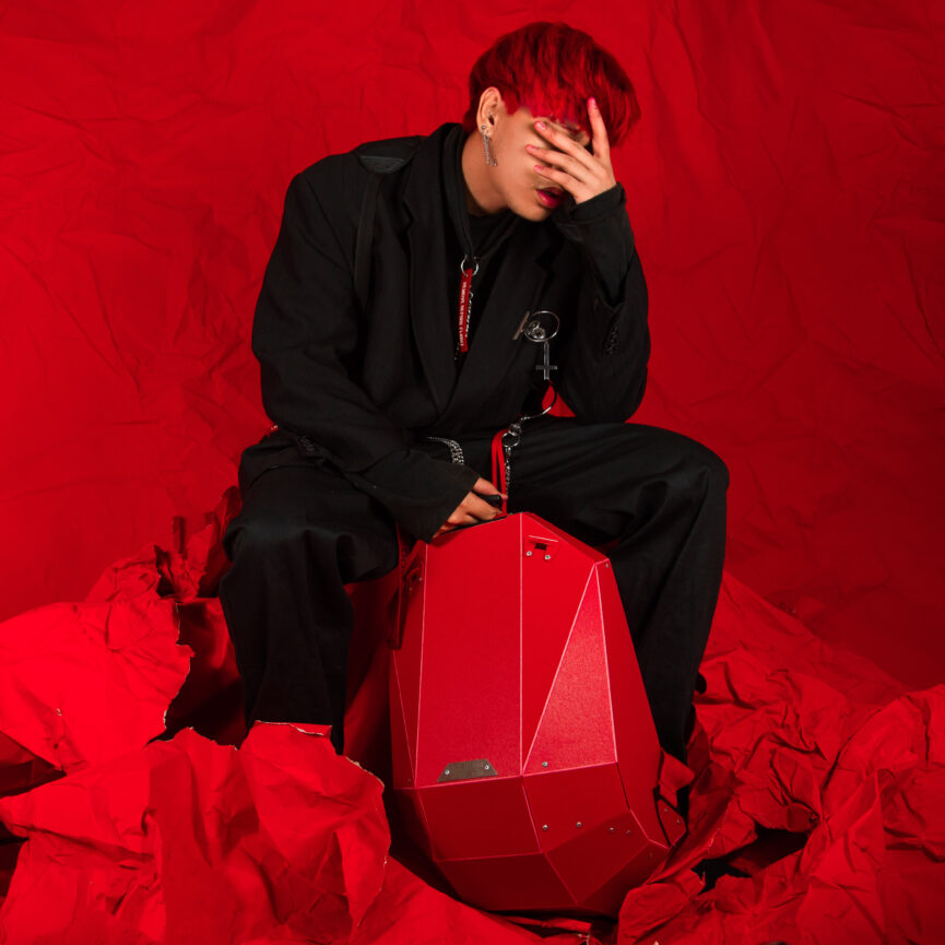 Polymer Hard Shell Red Backpack
